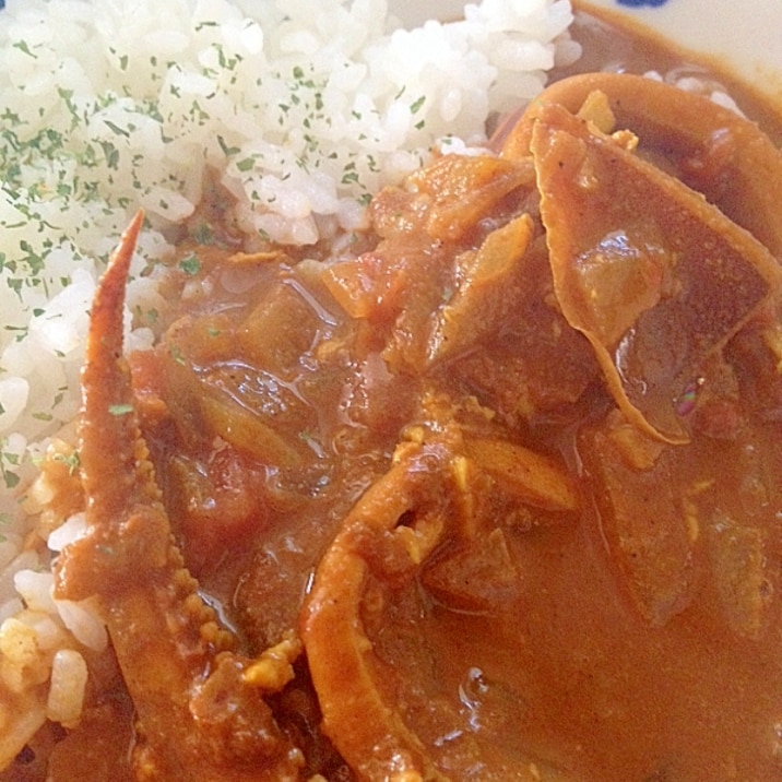 カレールーなし！本格いかカレー